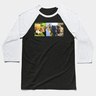 African Wildlife Collage Frames Baseball T-Shirt